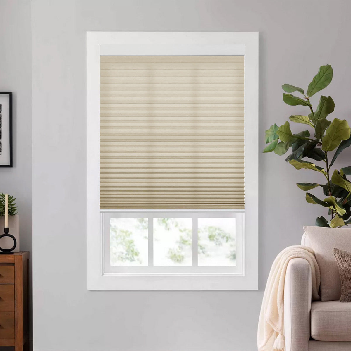Cellular Shades