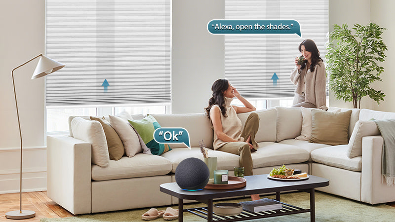 Work With Amazon Alexa