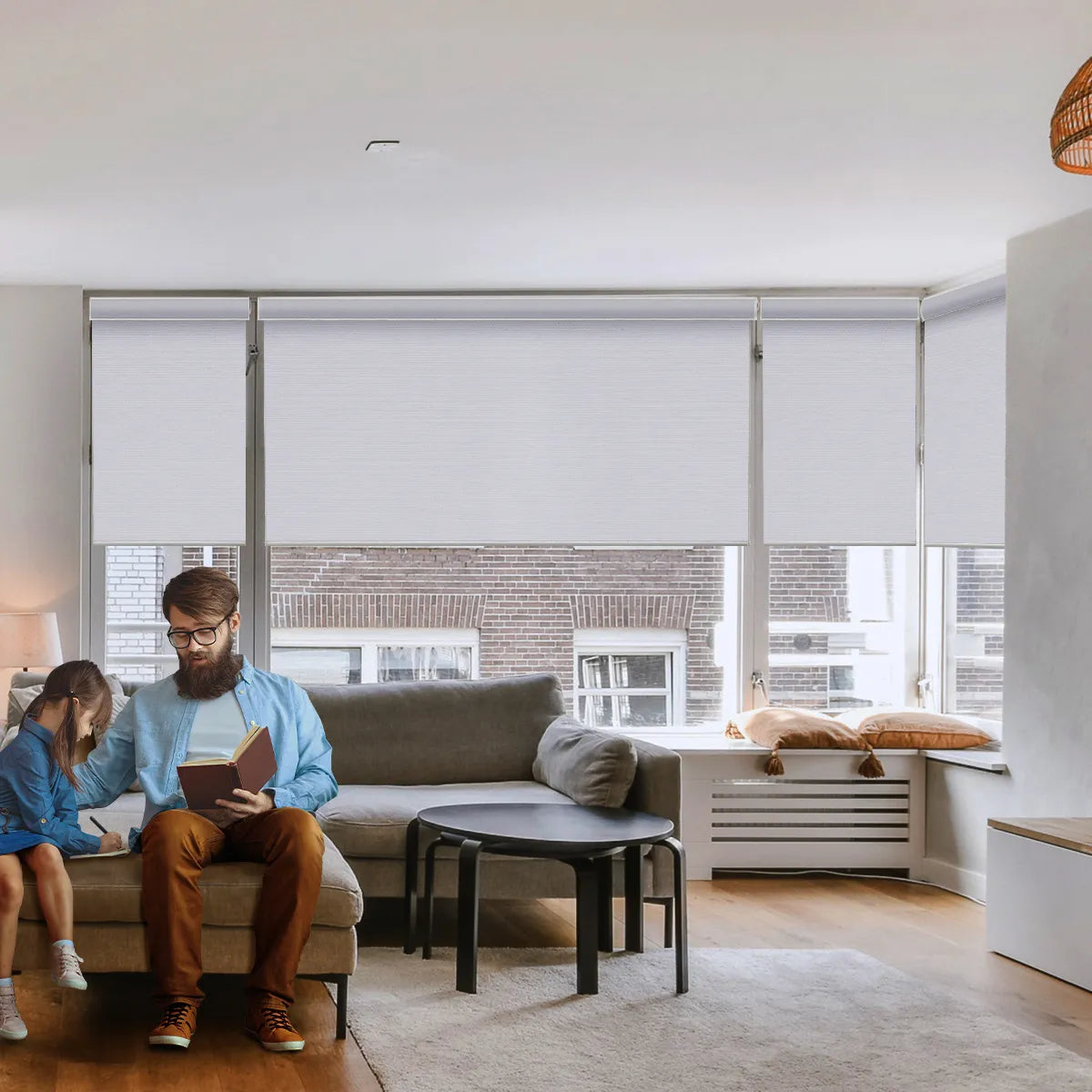 Weffort Motorized Blackout Roller Shades Classic Series