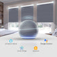 Weffort Motorized Blackout Cellular Shades Elegant Series
