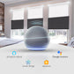 Weffort Motorized Blackout and Light Filtering Day/Night Suspended Cellular Shades Elegant Series