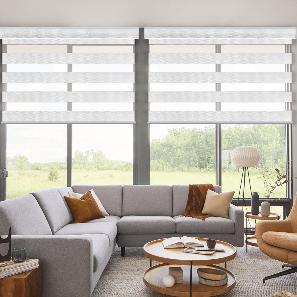 Weffort Motorized Blackout Zebra Shades Soft Series